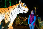 002-ZooLights19-Jamie-Pham-1180×785