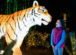 Jolly Holiday Activities for SoCal Theme Park Fans Through the End of the Year