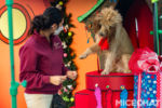 013_Universal_Studios_Hollywood_Holidays_Grinchmas