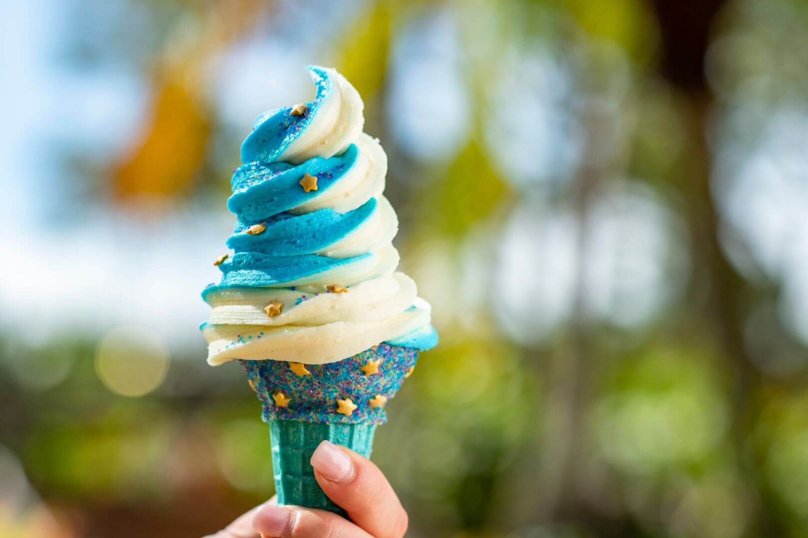 , Walt Disney World’s Typhoon Lagoon Reopening Date Set!
