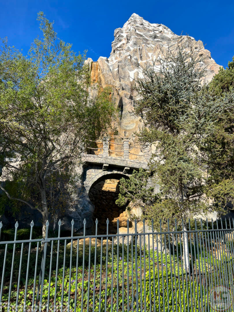 , Disneyland Update: Magic Key Lawsuit, Zany Maynard Fun, and Ho Ho Ho