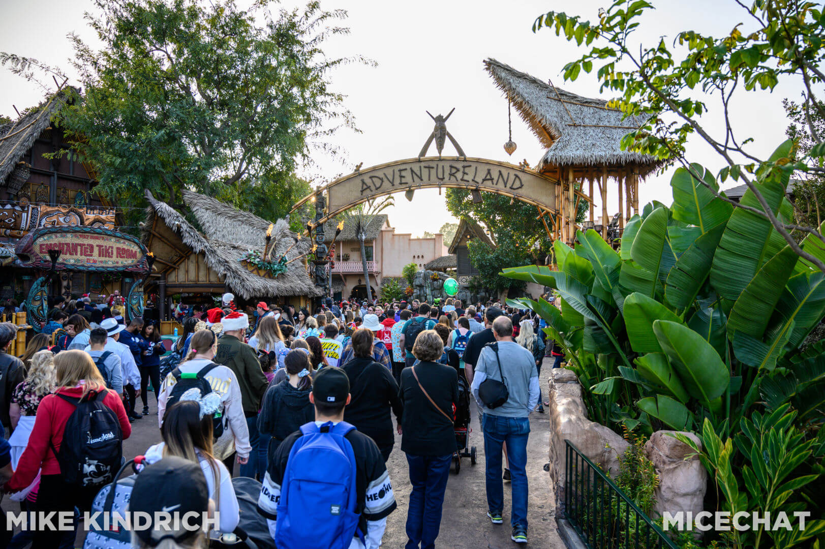 , Disneyland Update: Genie, News & Small Miracles!