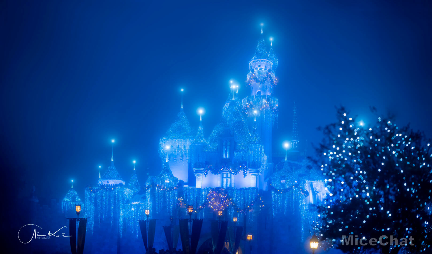 Disneyland Christmas, Merry Christmas From Disneyland: These Are A Few Of Our Favorite Things…