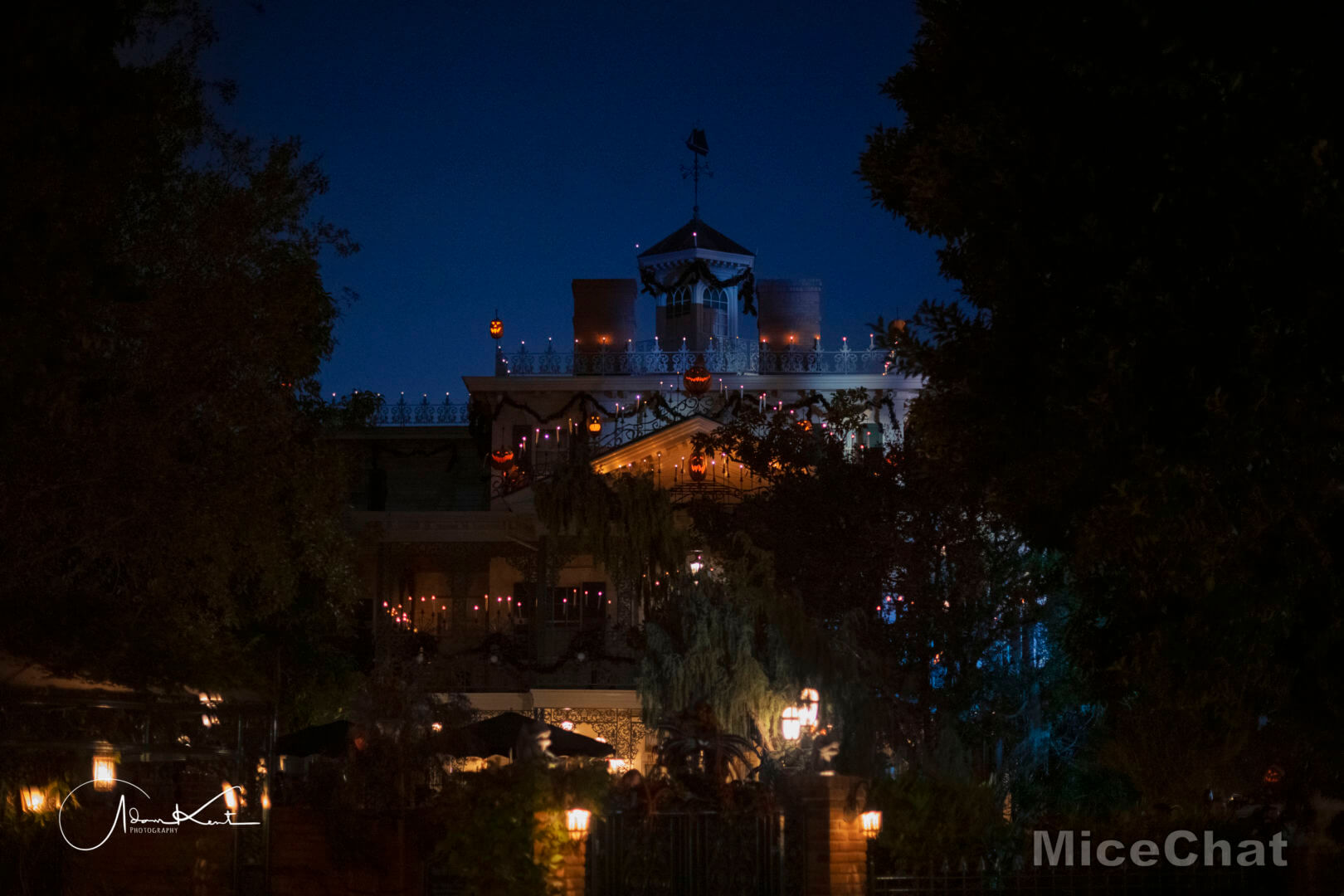 Disneyland Christmas, Merry Christmas From Disneyland: These Are A Few Of Our Favorite Things…