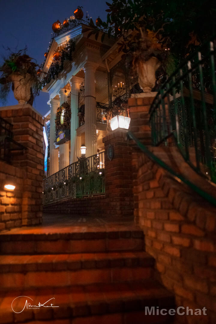 Disneyland Christmas, Merry Christmas From Disneyland: These Are A Few Of Our Favorite Things…