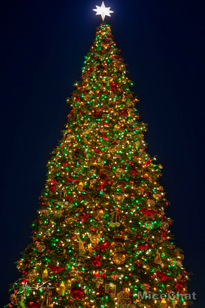 Disneyland Christmas, Merry Christmas From Disneyland: These Are A Few Of Our Favorite Things…