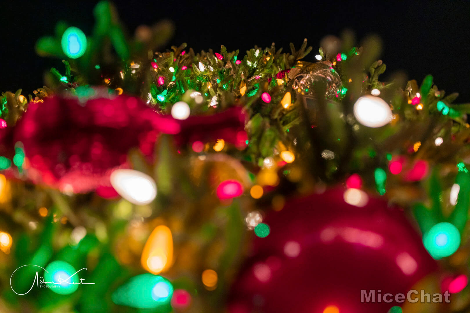 Disneyland Christmas, Merry Christmas From Disneyland: These Are A Few Of Our Favorite Things…