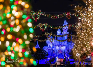 DISNEYLAND UPDATE! Christmas Out, Prices Up, and Changes Ahead