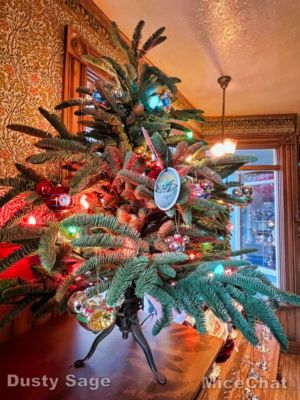 , DISNEYLAND UPDATE!  Christmas Out, Prices Up, and Changes Ahead