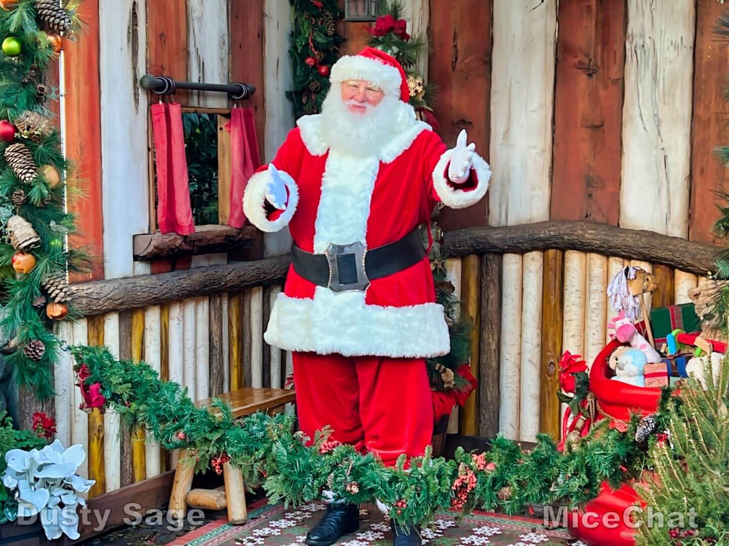 , DISNEYLAND UPDATE!  Christmas Out, Prices Up, and Changes Ahead