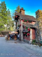 Disneyland Christmas Splash Mountain No Tree-micechat