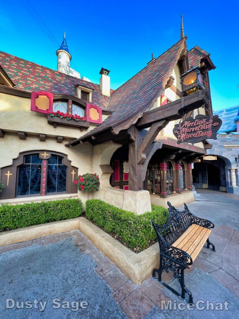 , DISNEYLAND UPDATE!  Christmas Out, Prices Up, and Changes Ahead