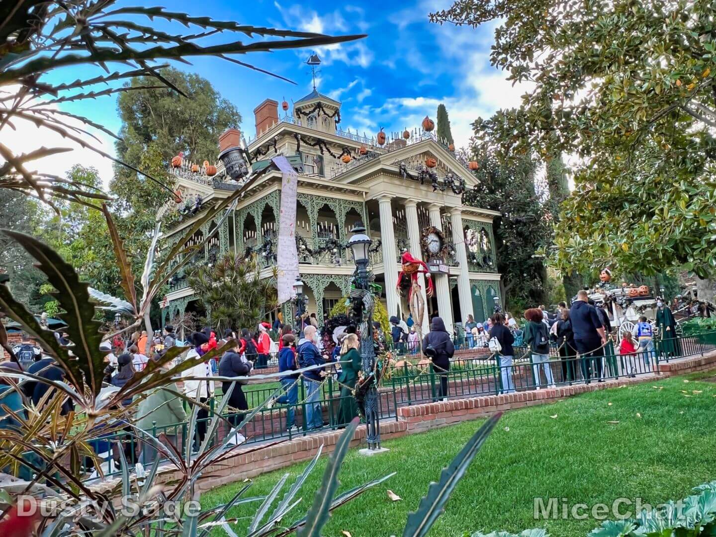 , DISNEYLAND UPDATE!  Christmas Out, Prices Up, and Changes Ahead