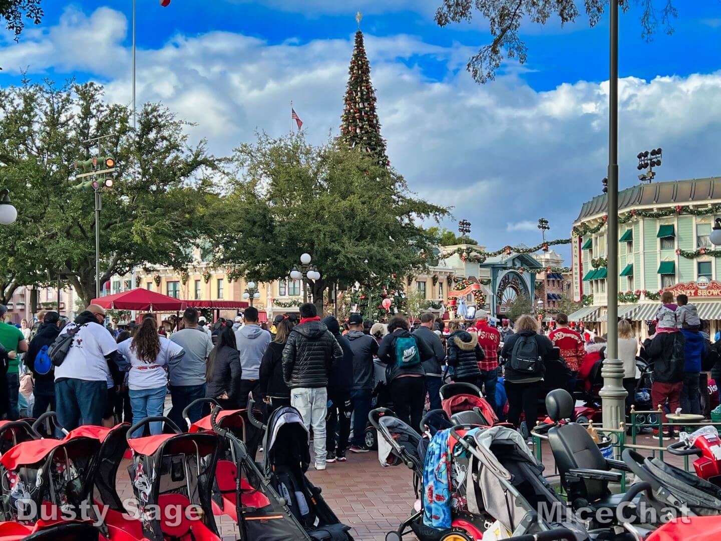 , DISNEYLAND UPDATE!  Christmas Out, Prices Up, and Changes Ahead
