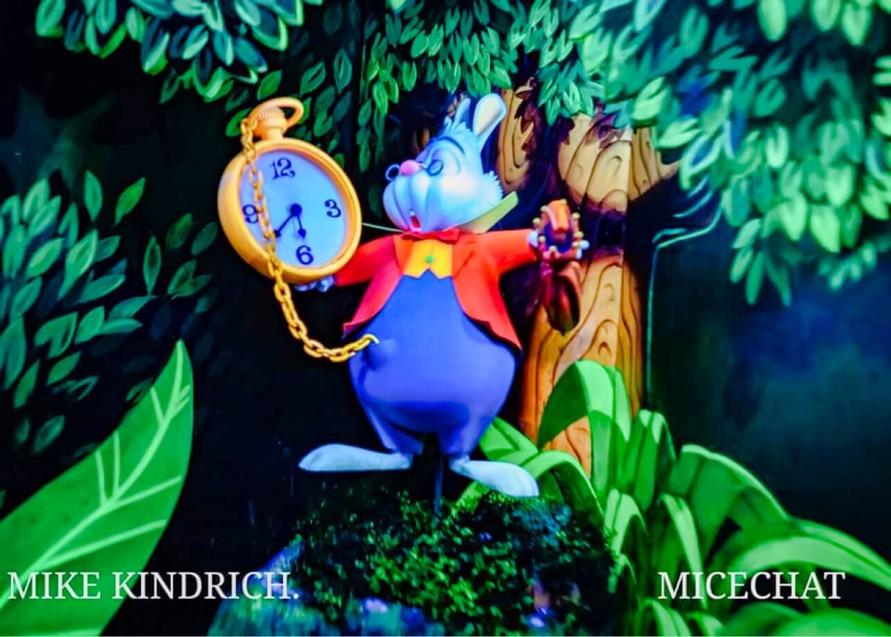 , DISNEYLAND UPDATE!  Christmas Out, Prices Up, and Changes Ahead