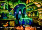 Disneyland Fun Snow Whites enchanted wish wicked witch