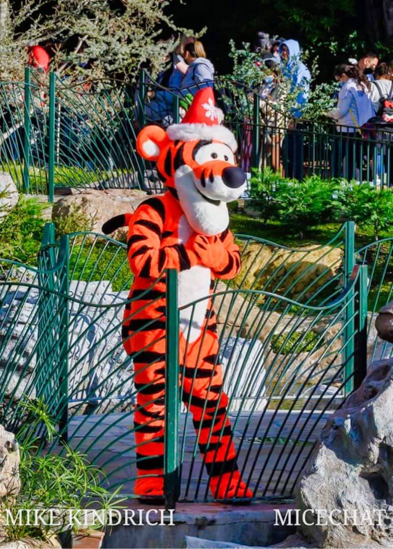 , DISNEYLAND UPDATE!  Christmas Out, Prices Up, and Changes Ahead