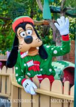 Disneyland Fun ToonTown Goofy