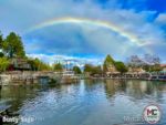 Disneyland Rainbow Rivers of America Closeup-micechat
