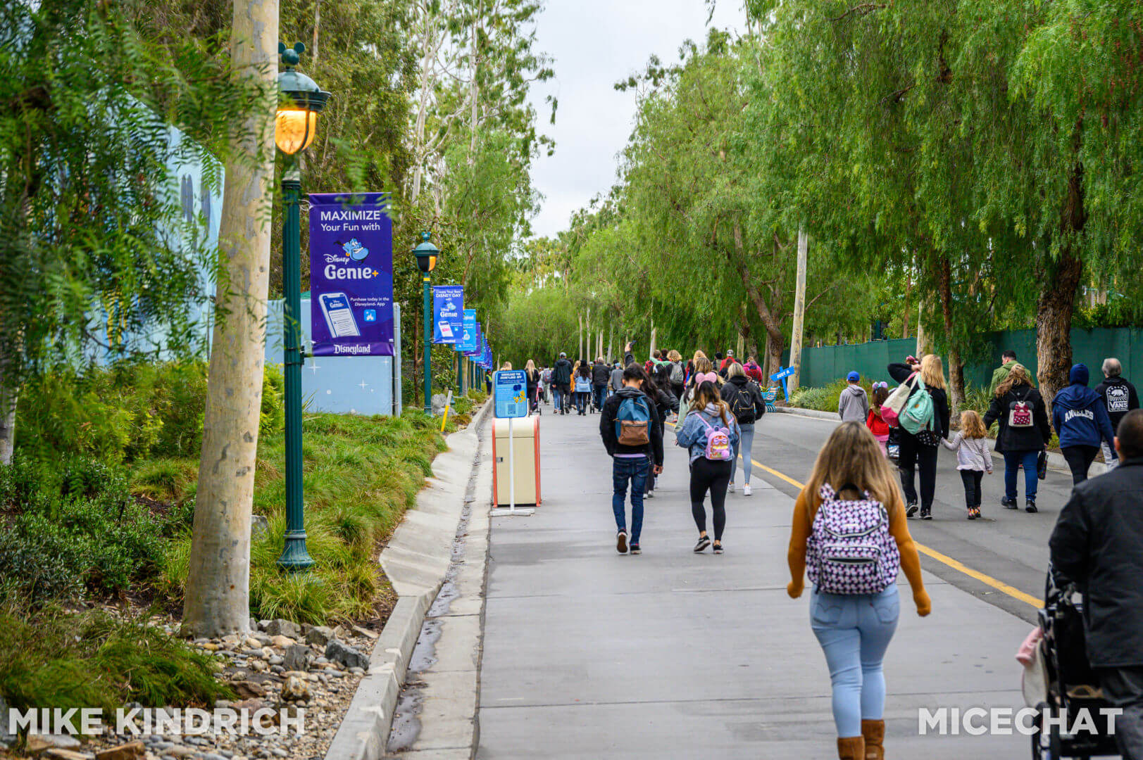 , Disneyland Update &#8211; Relighting the Night, Trams Take Flight, Out of Sight