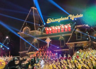 Disneyland Update: Genie, News & Small Miracles!