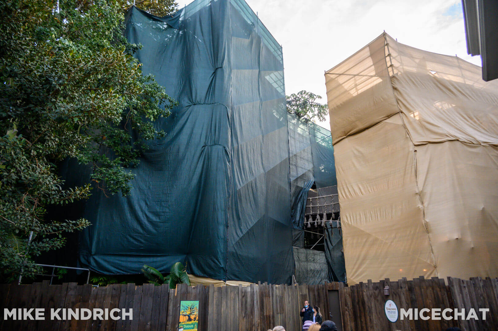 , Disneyland Update: Genie’s Dramatic Debut, Entertainment Excitement, and Holiday Hoopla