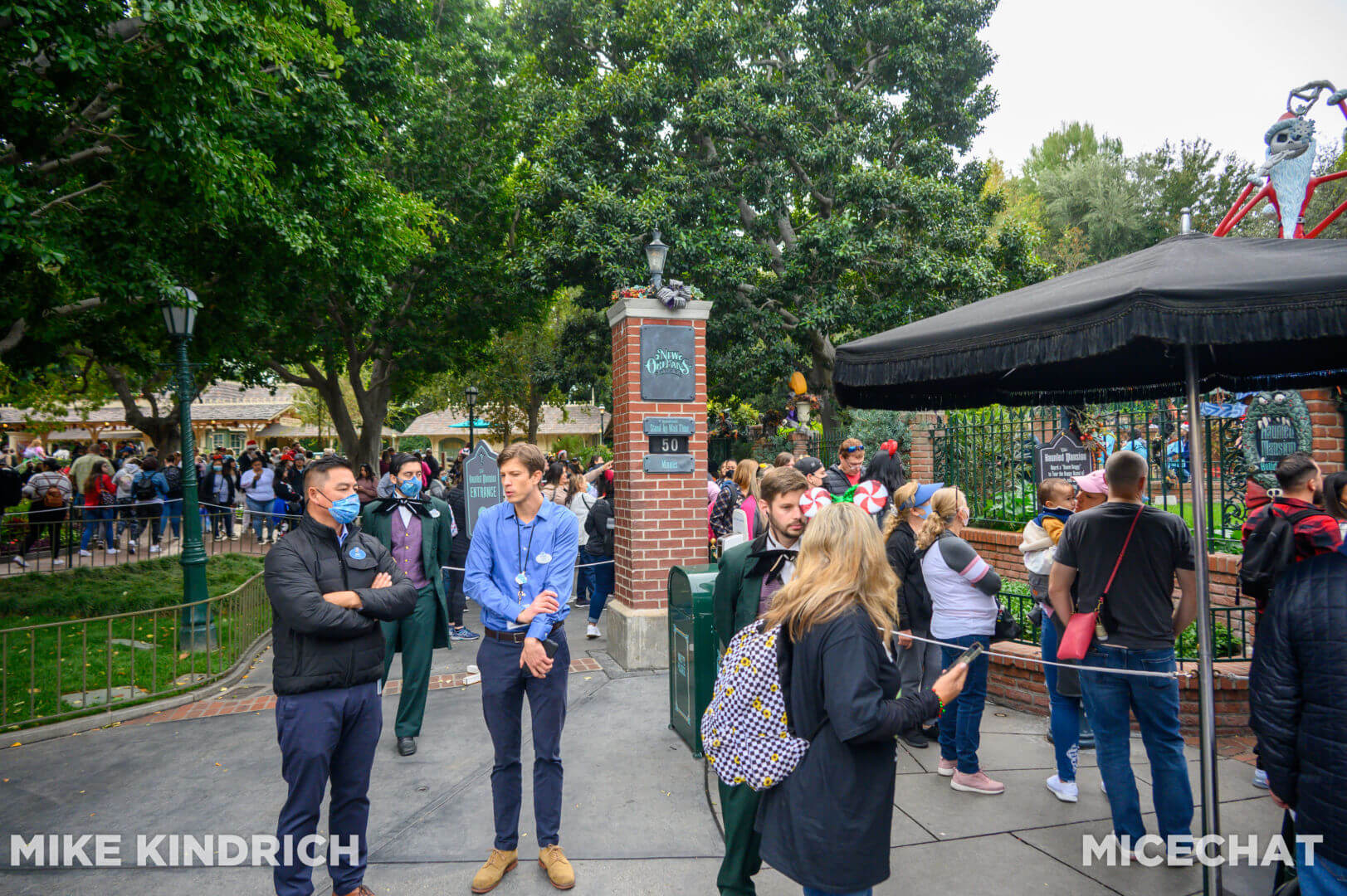 , Disneyland Update: Genie’s Dramatic Debut, Entertainment Excitement, and Holiday Hoopla
