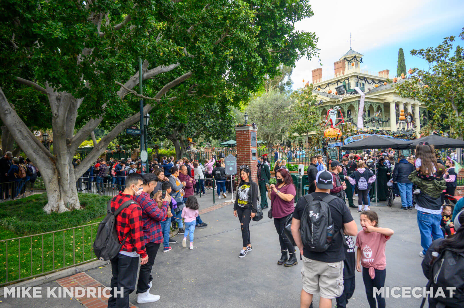 , Disneyland Update: Genie’s Dramatic Debut, Entertainment Excitement, and Holiday Hoopla