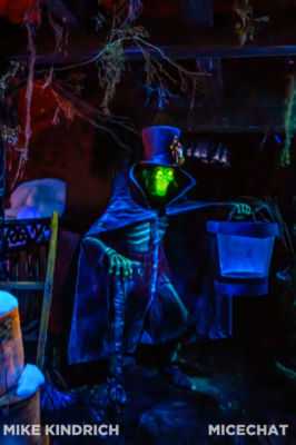, Disneyland Update – New Year Magic and Mayhem