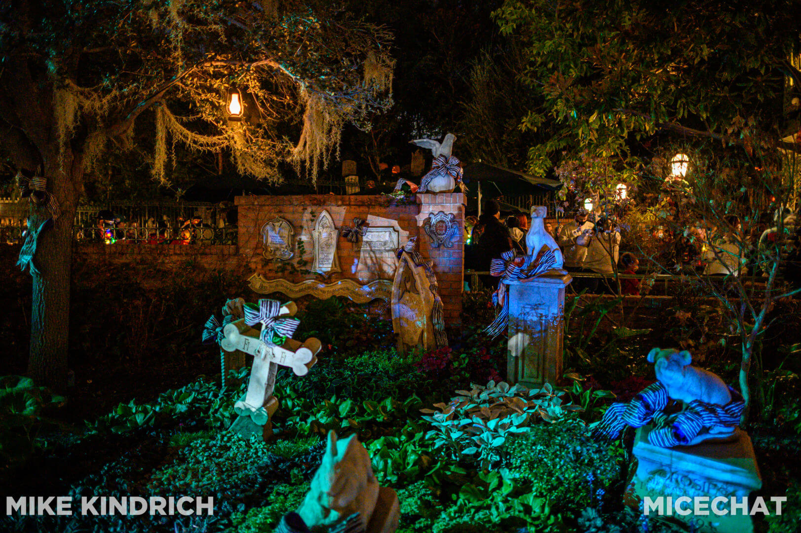 , Disneyland Update: Genie’s Dramatic Debut, Entertainment Excitement, and Holiday Hoopla