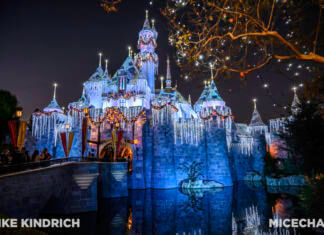 Disneyland Update: Magic Key Lawsuit, Zany Maynard Fun, and Ho Ho Ho