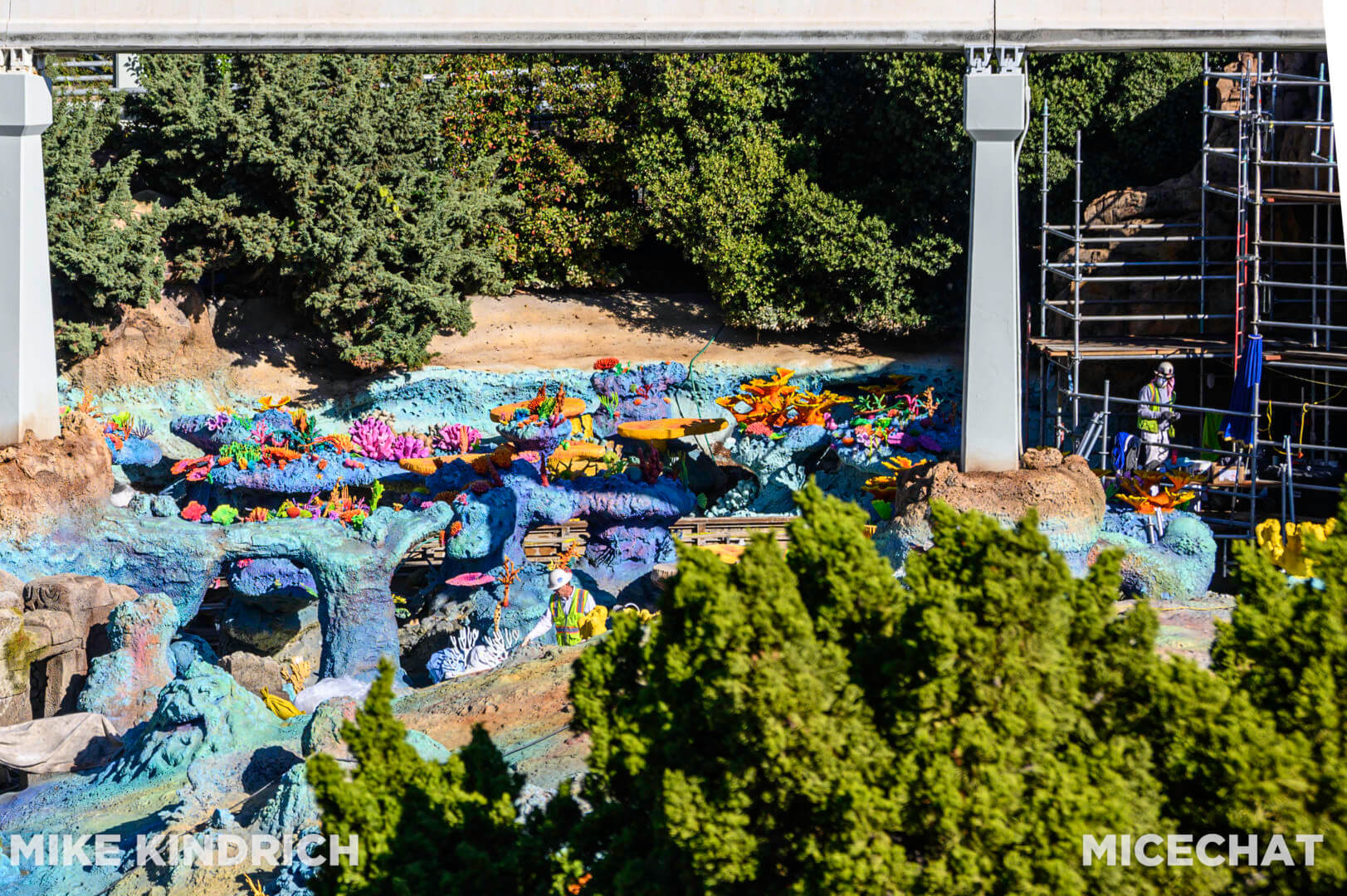 , Disneyland Update: Magic Key Lawsuit, Zany Maynard Fun, and Ho Ho Ho
