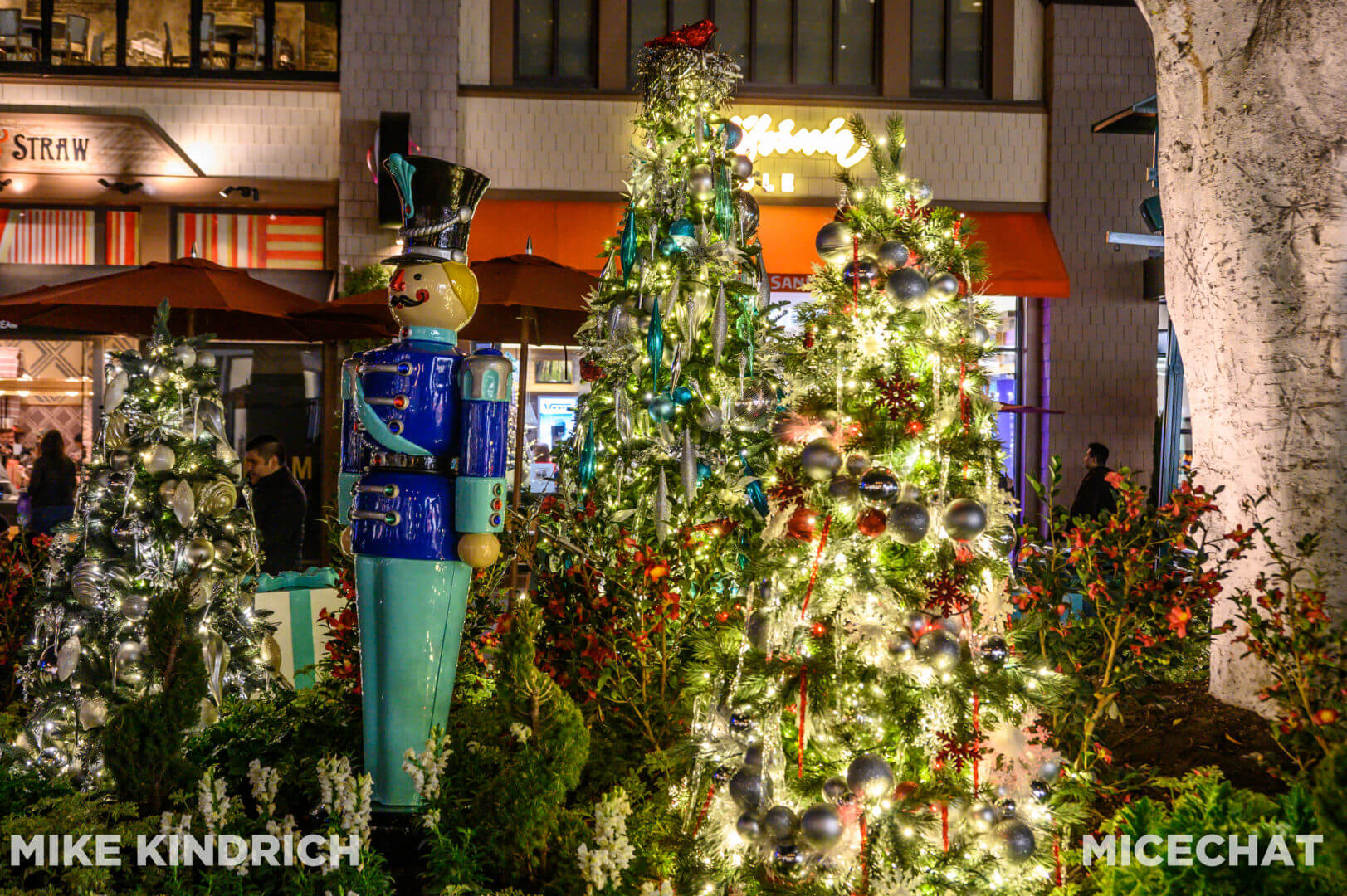 , Disneyland Update: Genie’s Dramatic Debut, Entertainment Excitement, and Holiday Hoopla