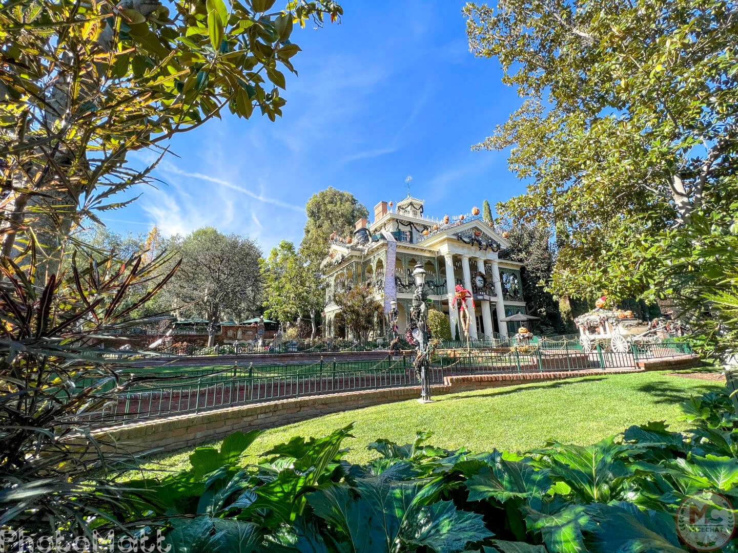 , Disneyland Update: Magic Key Lawsuit, Zany Maynard Fun, and Ho Ho Ho