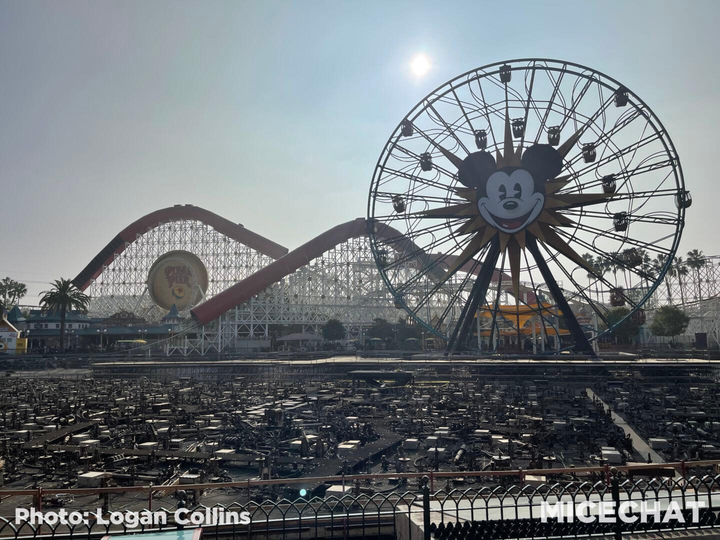 , Disneyland Update: Genie, News & Small Miracles!