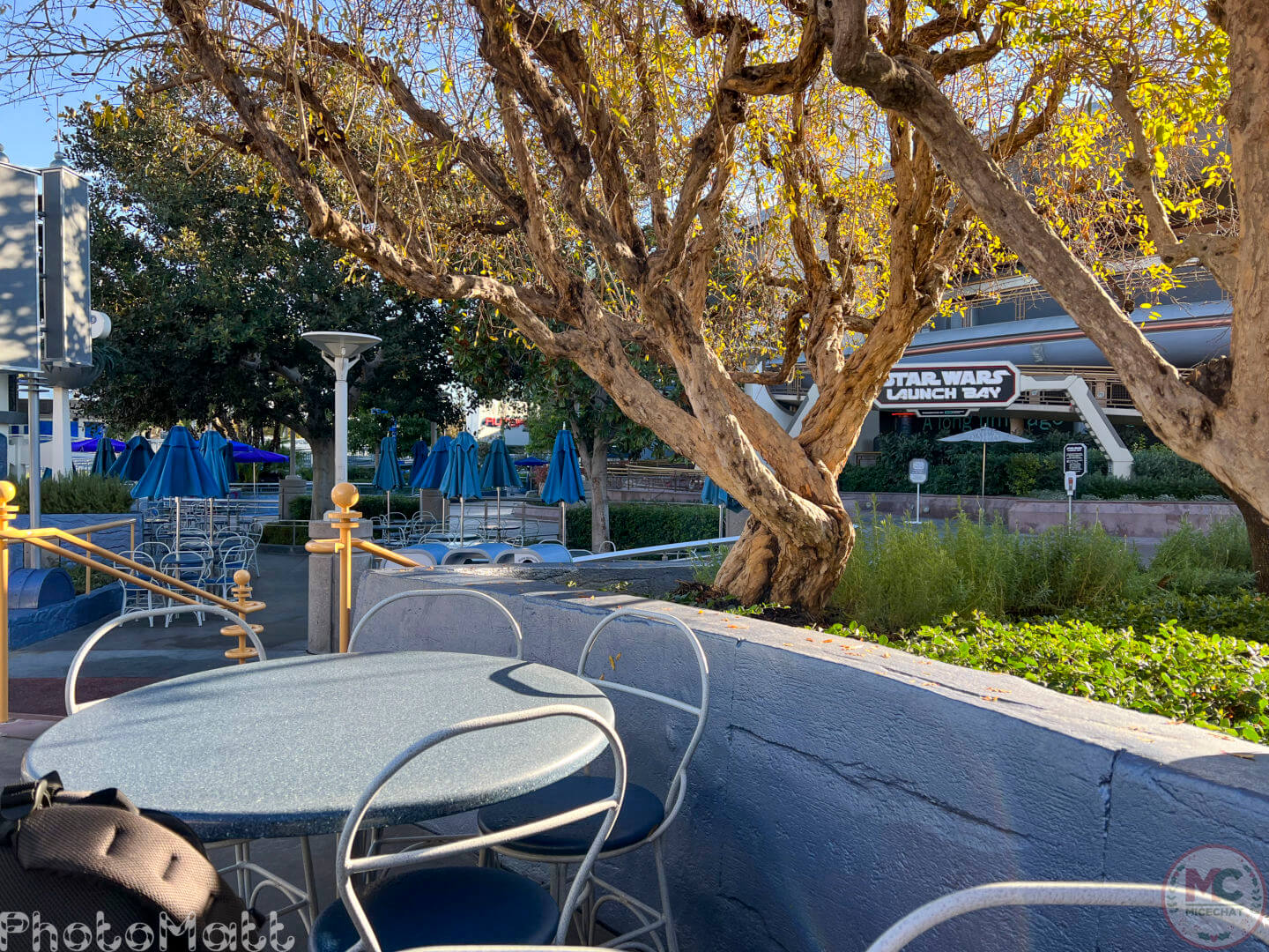 , Disneyland Update: Magic Key Lawsuit, Zany Maynard Fun, and Ho Ho Ho