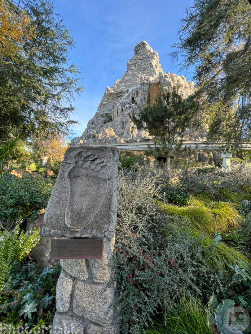 , Disneyland Update: Magic Key Lawsuit, Zany Maynard Fun, and Ho Ho Ho