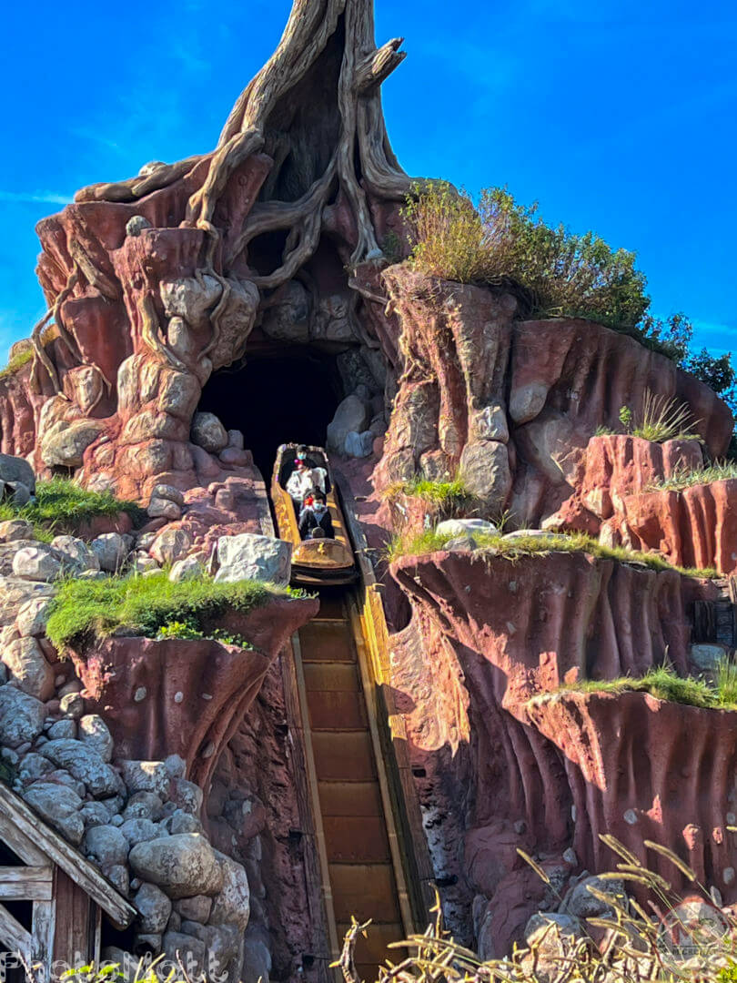 , Disneyland Update: Magic Key Lawsuit, Zany Maynard Fun, and Ho Ho Ho
