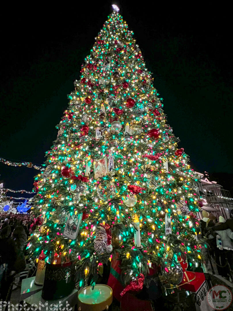 , Disneyland Update: Magic Key Lawsuit, Zany Maynard Fun, and Ho Ho Ho