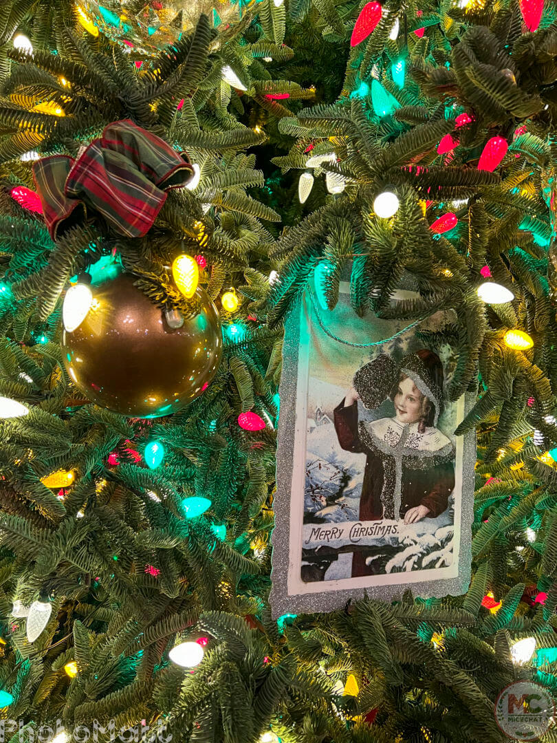 , Disneyland Update: Magic Key Lawsuit, Zany Maynard Fun, and Ho Ho Ho