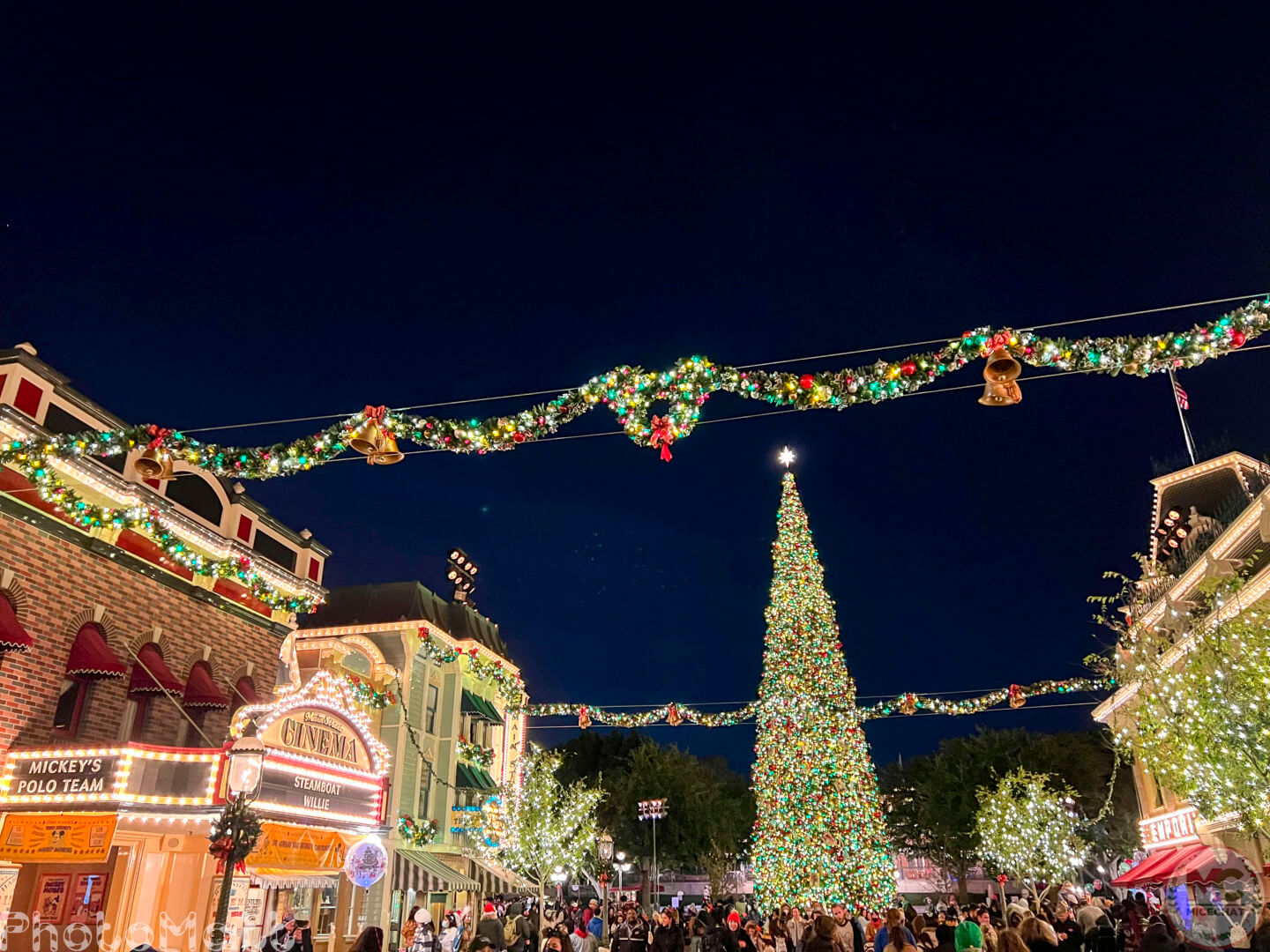 , Disneyland Update: Magic Key Lawsuit, Zany Maynard Fun, and Ho Ho Ho