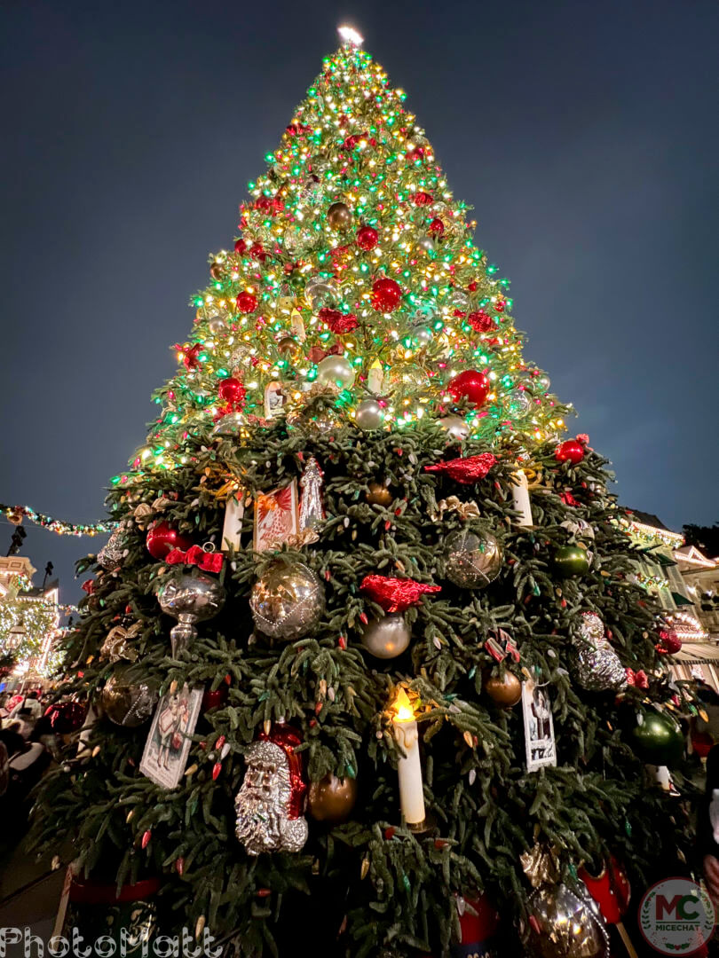 , Disneyland Update: Magic Key Lawsuit, Zany Maynard Fun, and Ho Ho Ho
