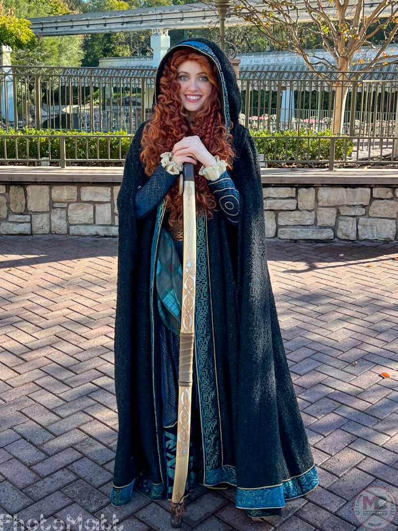 , Disneyland Update: Magic Key Lawsuit, Zany Maynard Fun, and Ho Ho Ho