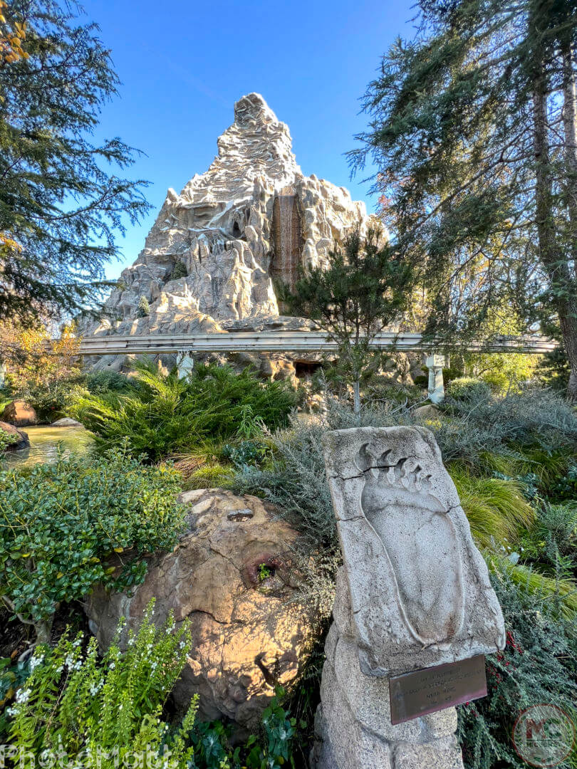 , Disneyland Update: Magic Key Lawsuit, Zany Maynard Fun, and Ho Ho Ho