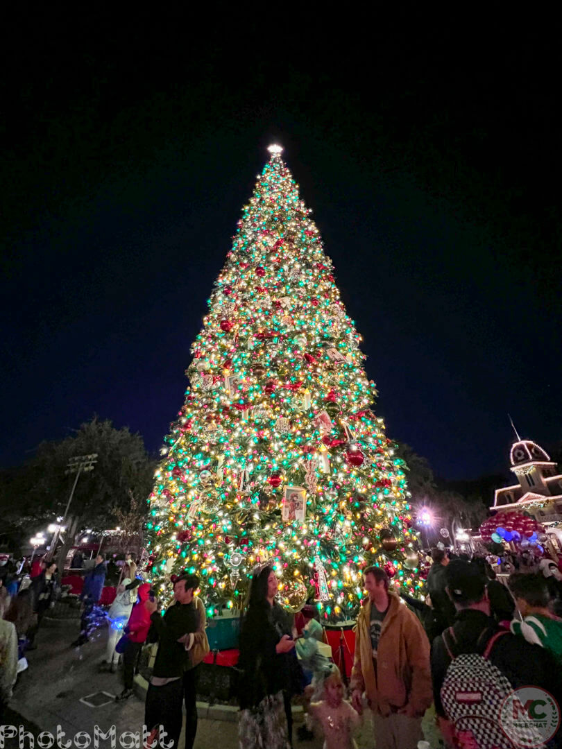 , Disneyland Update: Magic Key Lawsuit, Zany Maynard Fun, and Ho Ho Ho