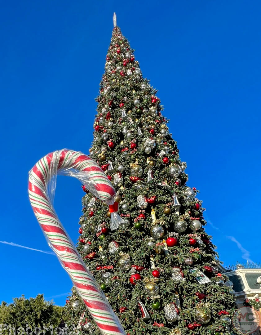 , Disneyland Update: Magic Key Lawsuit, Zany Maynard Fun, and Ho Ho Ho