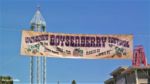 Knotts Berry Farm_Boysen Berry Festival_Banner