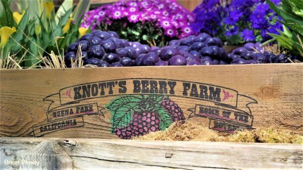 , Knott’s Berry Farm Update: Cheer at the End of the Year!