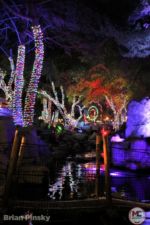 Knotts Merry Farm_Camp Snoopy_Night