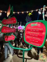 Universal Studios Hollywood Christmas Show Times